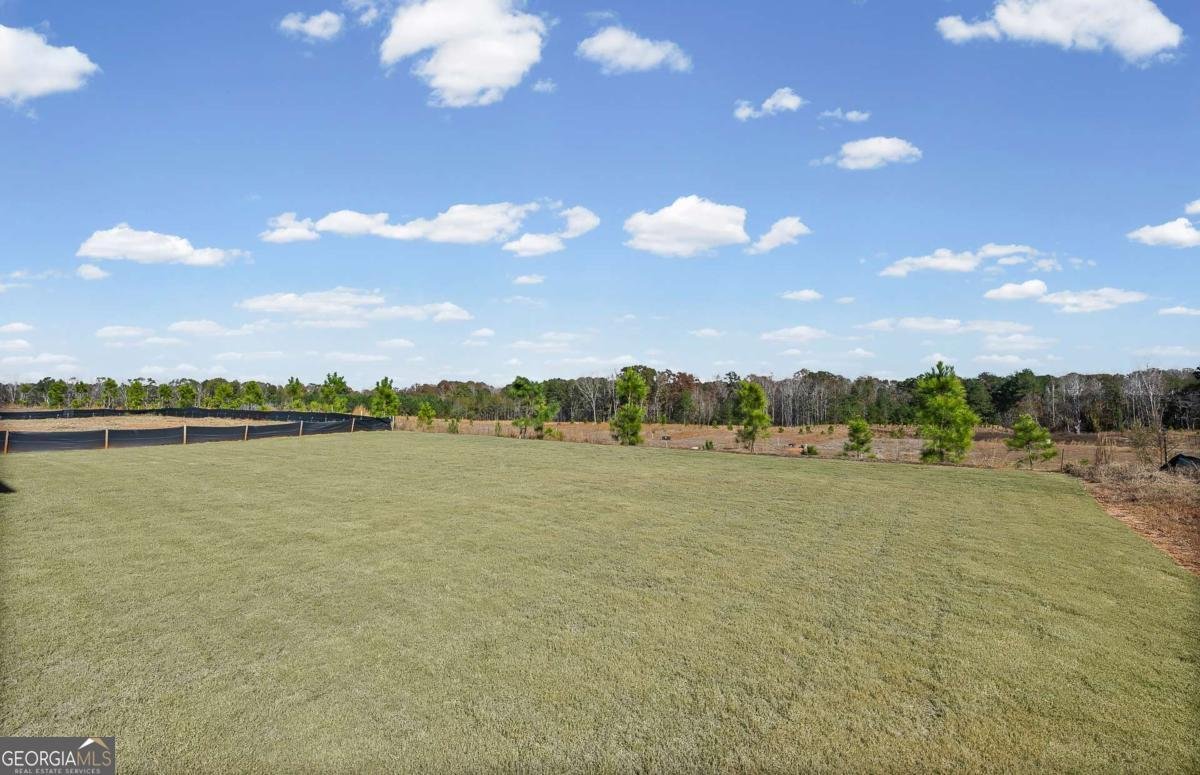 256 Nesta Grove Locust Grove - Photo 18