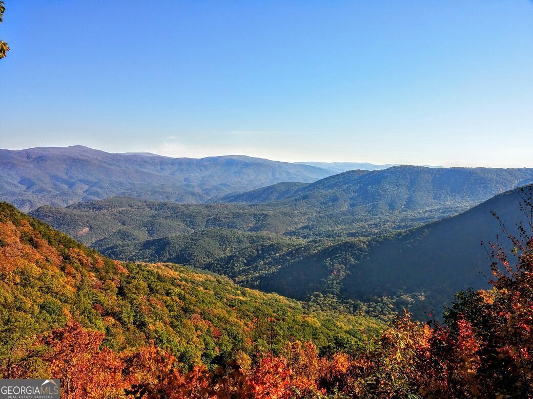 388 Palisade Drive Ellijay - Photo 37