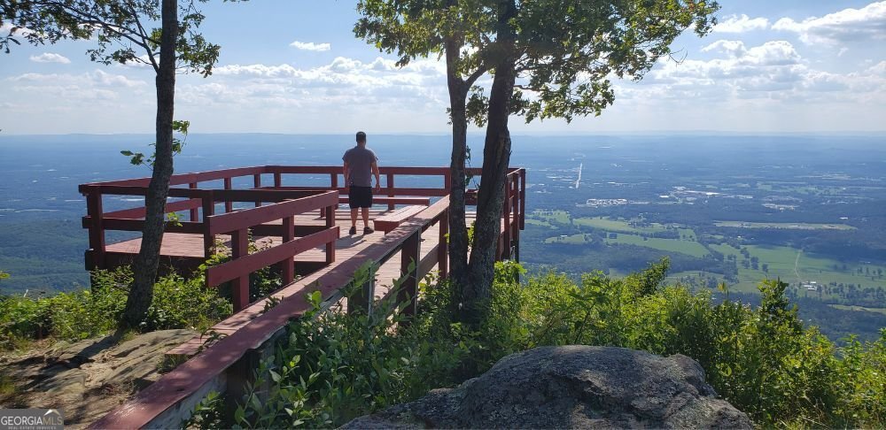 388 Palisade Drive Ellijay - Photo 38