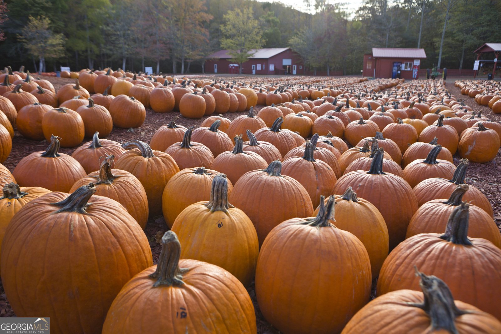 388 Palisade Drive Ellijay - Photo 39