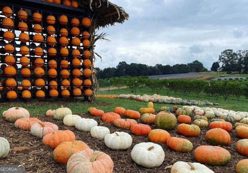 388 Palisade Drive Ellijay - Photo 40