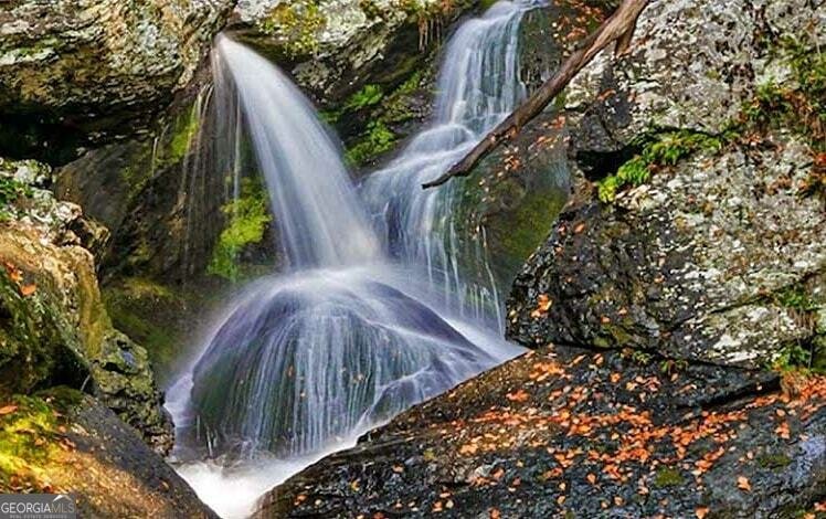 388 Palisade Drive Ellijay - Photo 43