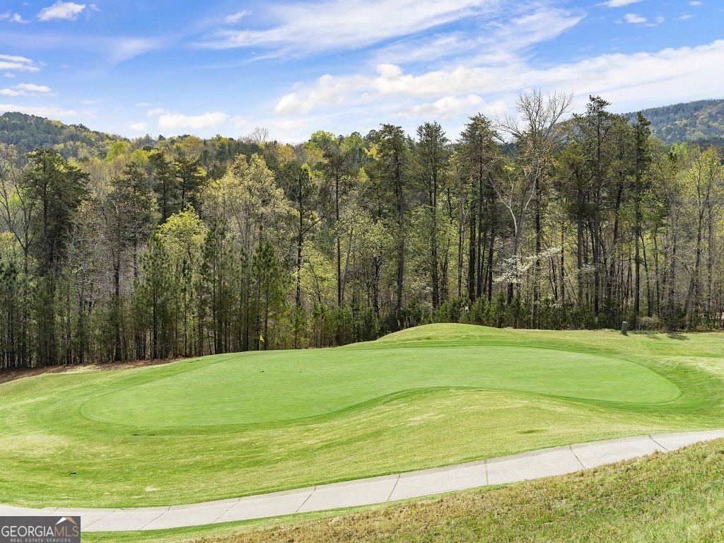 118 Elder Court Waleska - Photo 17