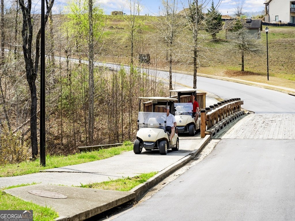 118 Elder Court Waleska - Photo 18