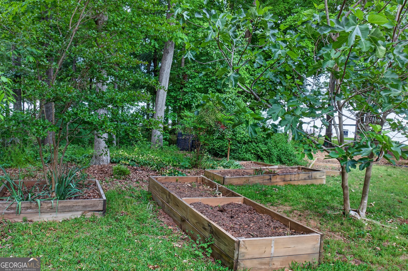 1551 Heidi Trail Buckhead - Photo 43