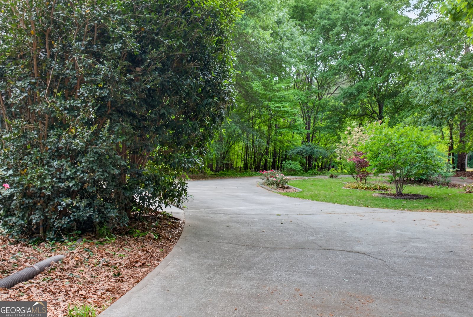 1551 Heidi Trail Buckhead - Photo 52