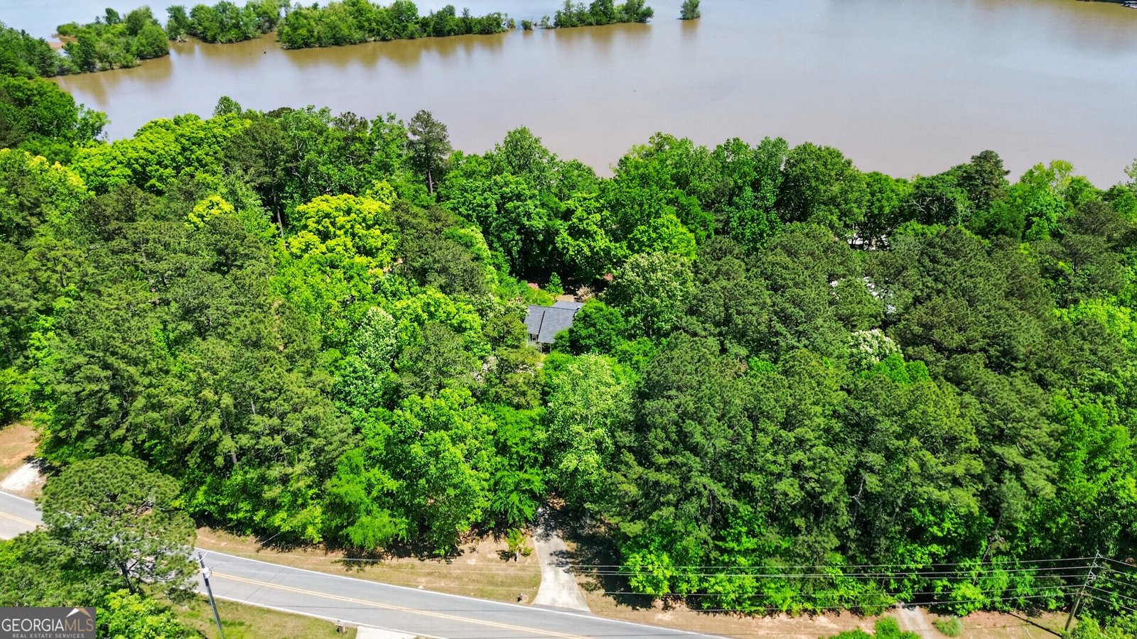 1551 Heidi Trail Buckhead - Photo 59