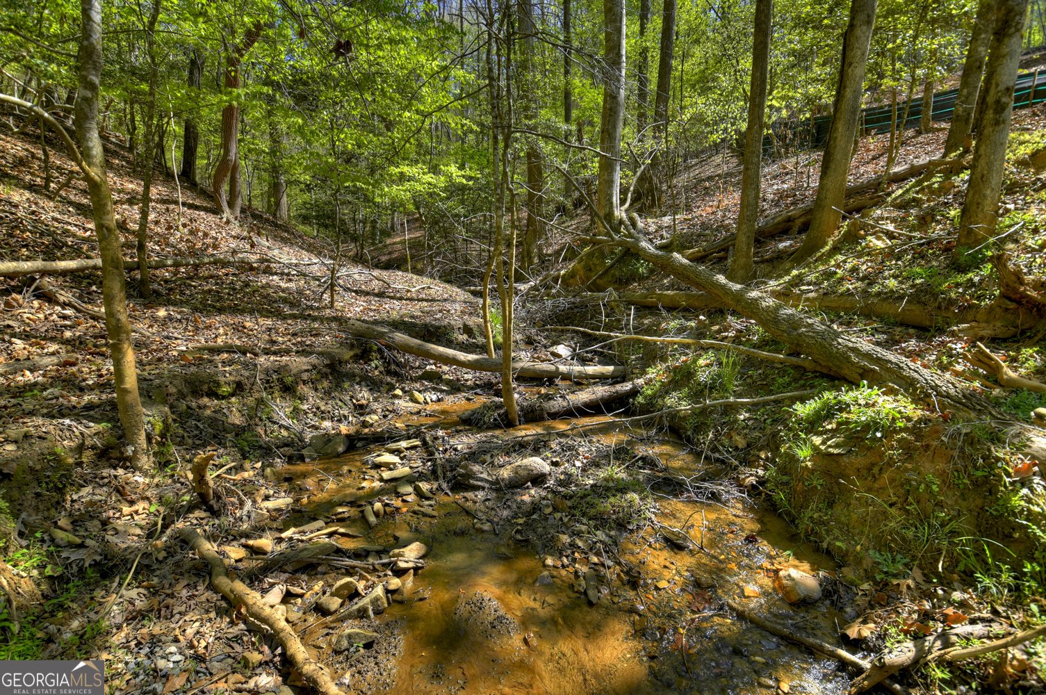 245 Moonstone Drive Ellijay - Photo 52