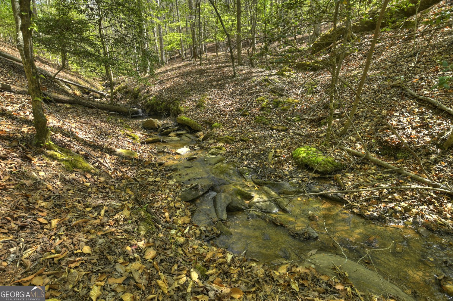 245 Moonstone Drive Ellijay - Photo 7