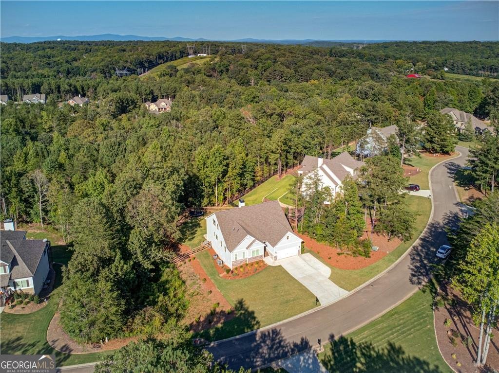 538 Black Horse Circle Canton - Photo 65