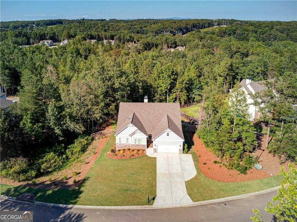 538 Black Horse Circle Canton - Photo 66