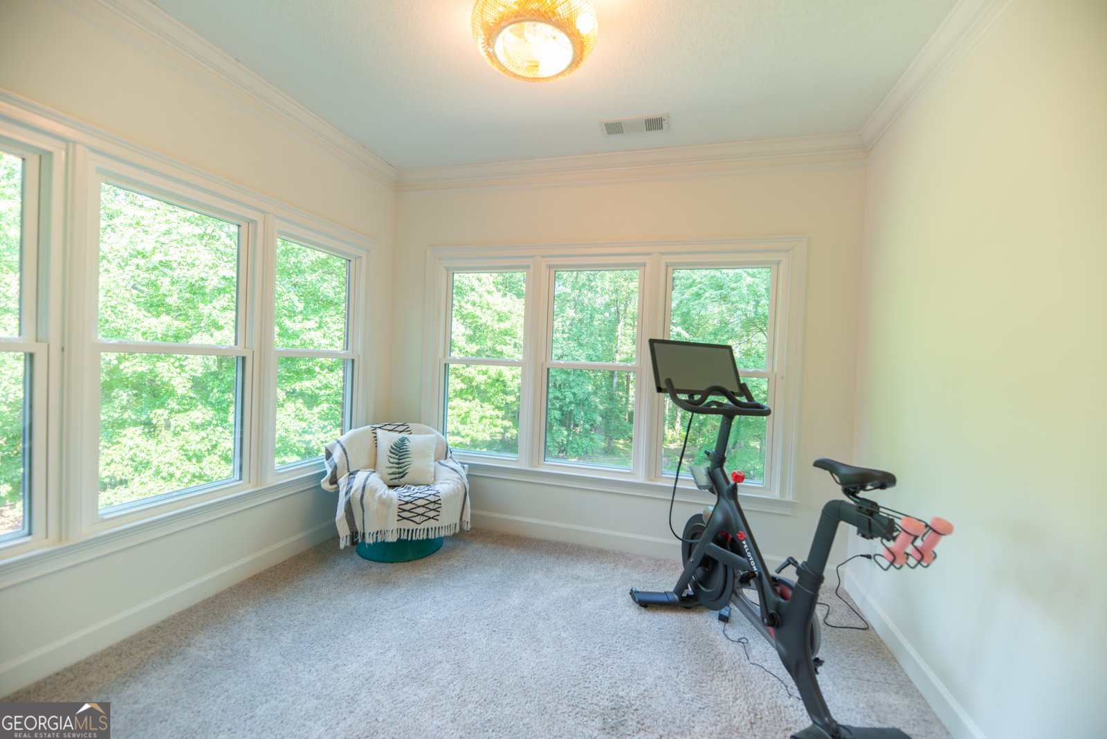 155 Torrey Pines Court Newnan - Photo 37