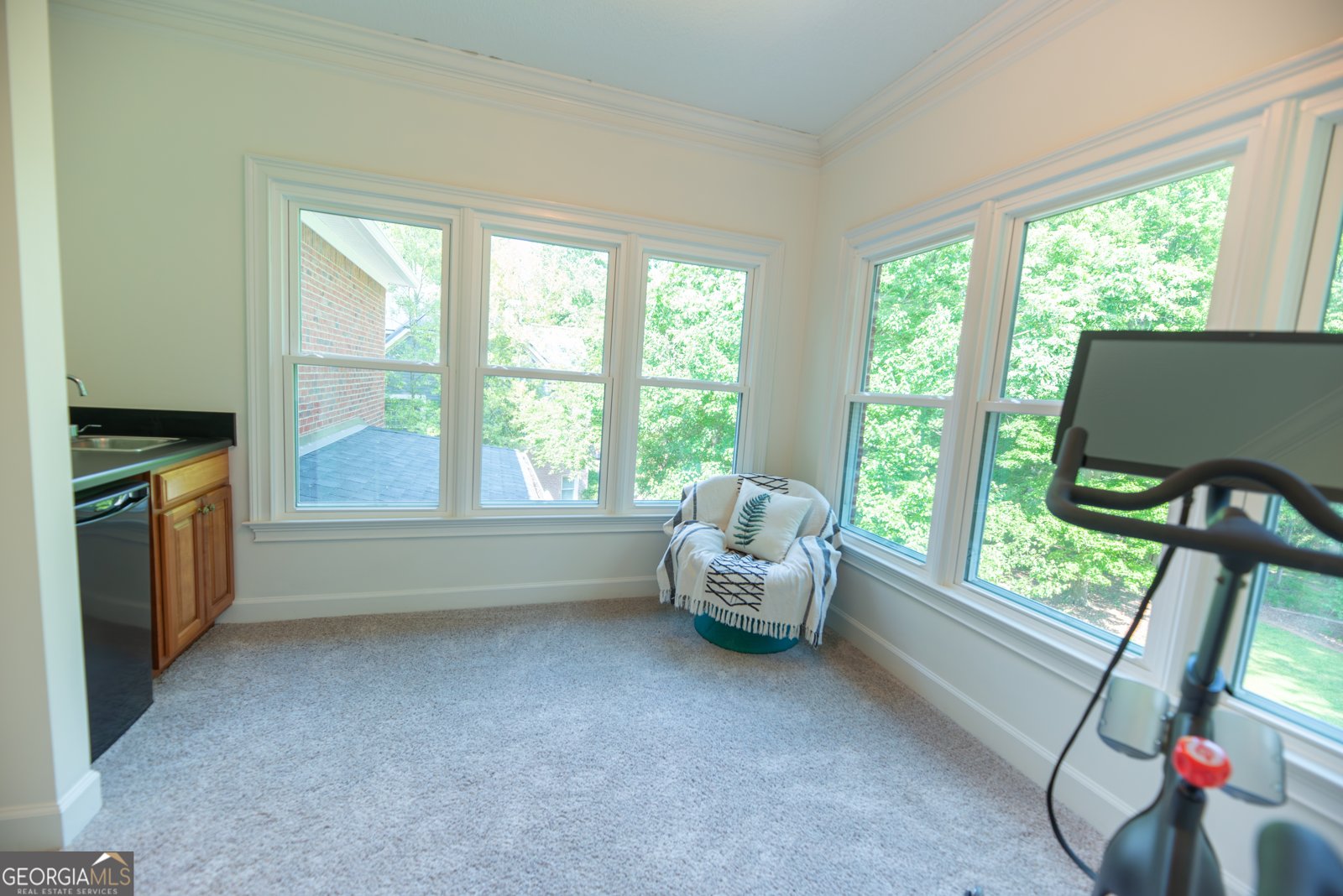 155 Torrey Pines Court Newnan - Photo 38