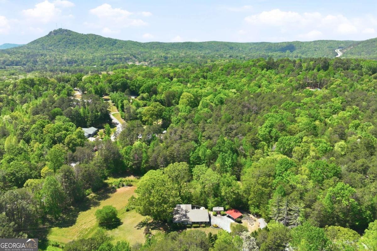 238 Currahee Circle Toccoa - Photo 39