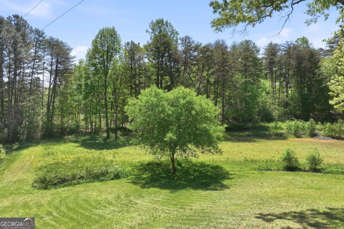 238 Currahee Circle Toccoa - Photo 43