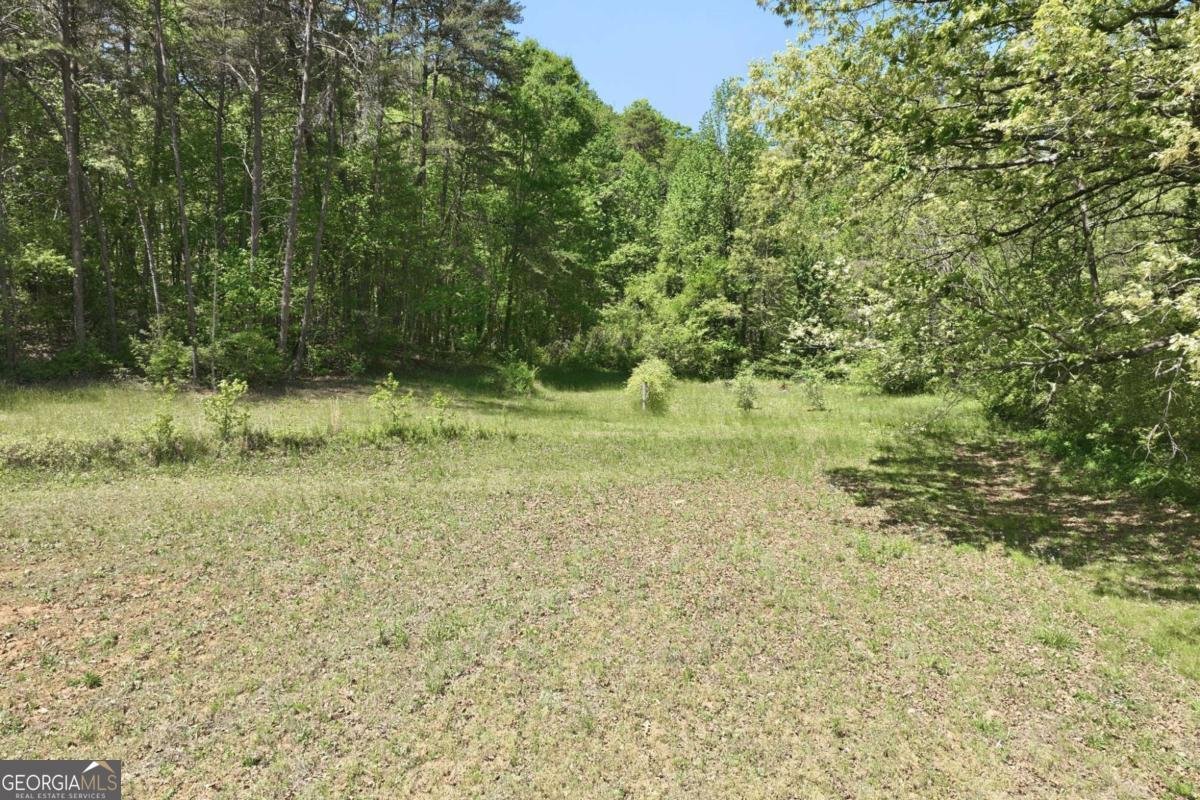 238 Currahee Circle Toccoa - Photo 44