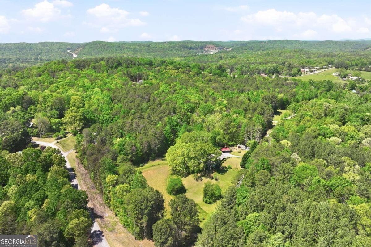 238 Currahee Circle Toccoa - Photo 45