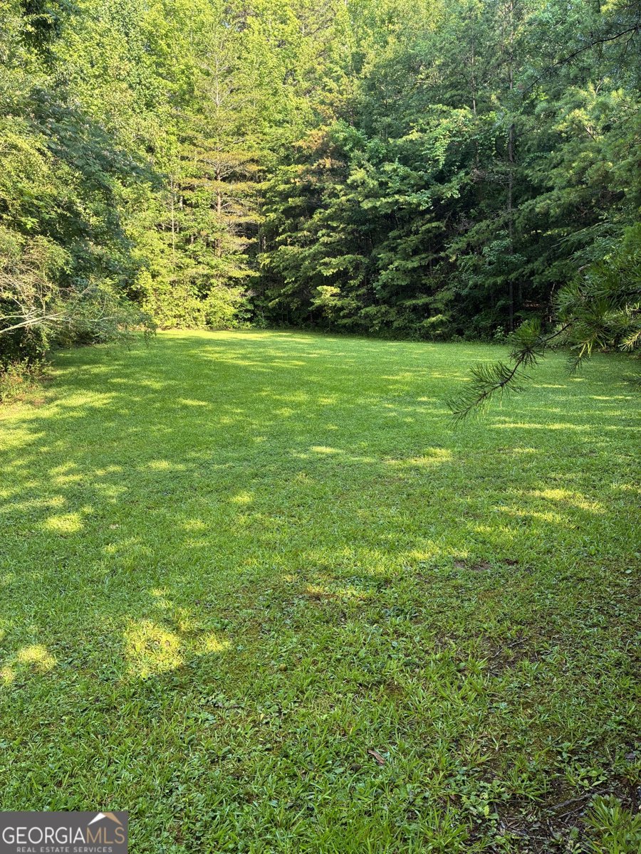238 Currahee Circle Toccoa - Photo 47
