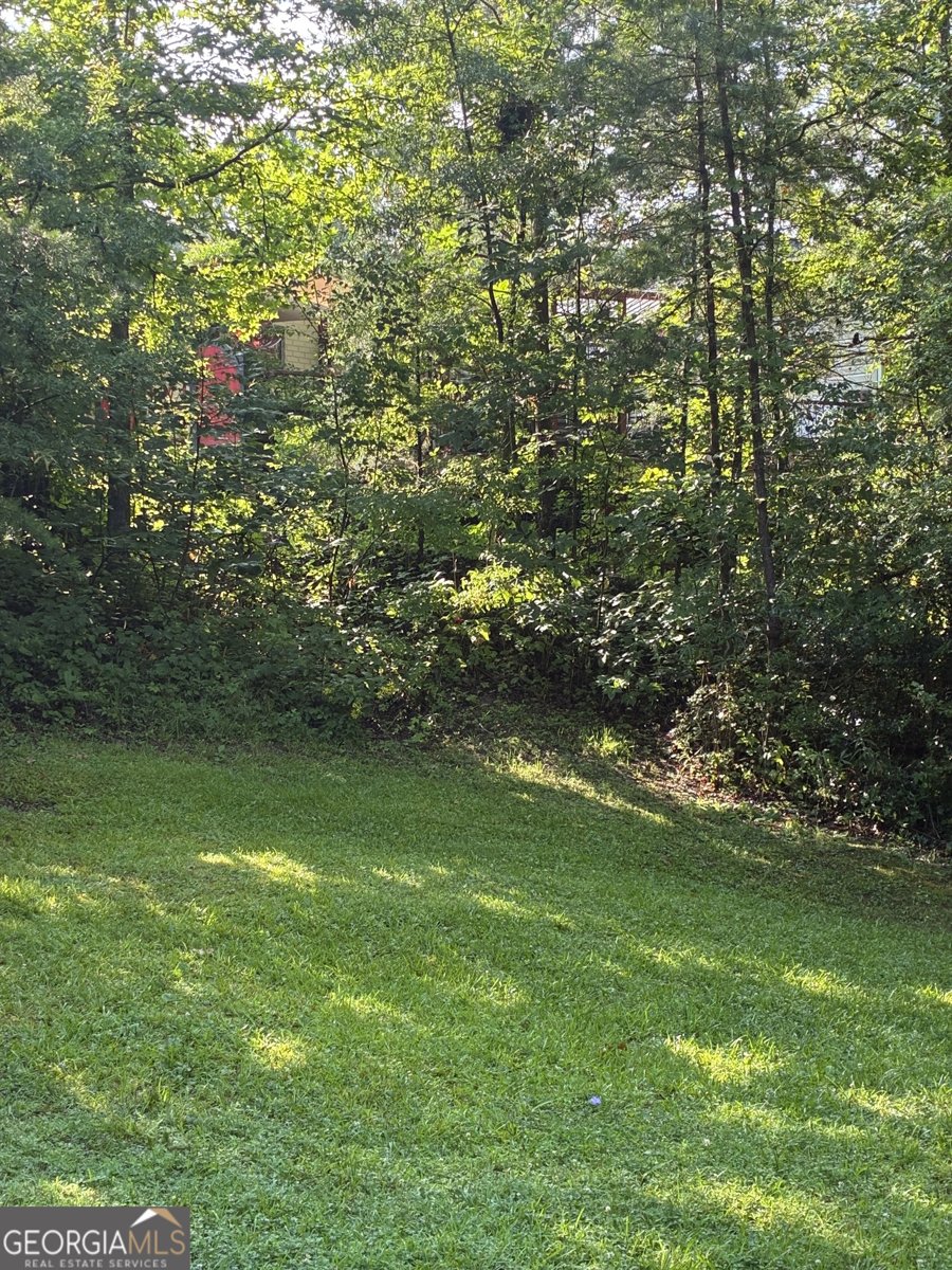 238 Currahee Circle Toccoa - Photo 49