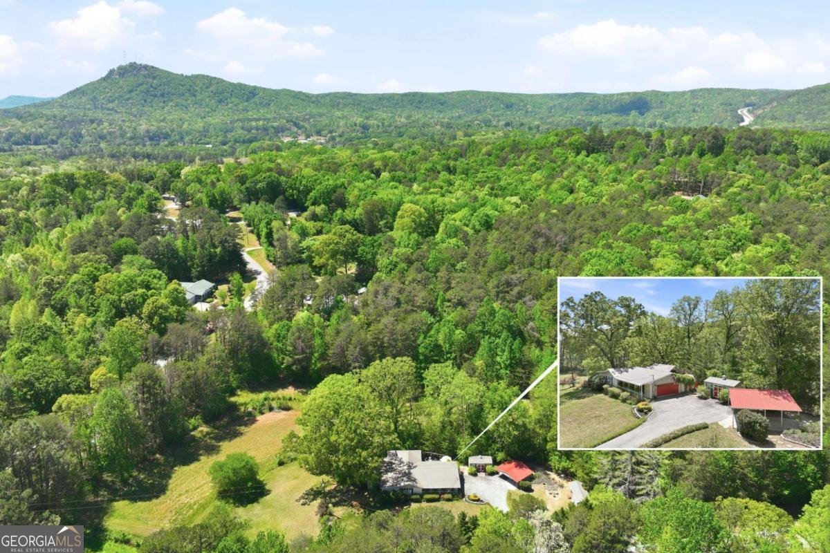 238 Currahee Circle Toccoa - Photo 6