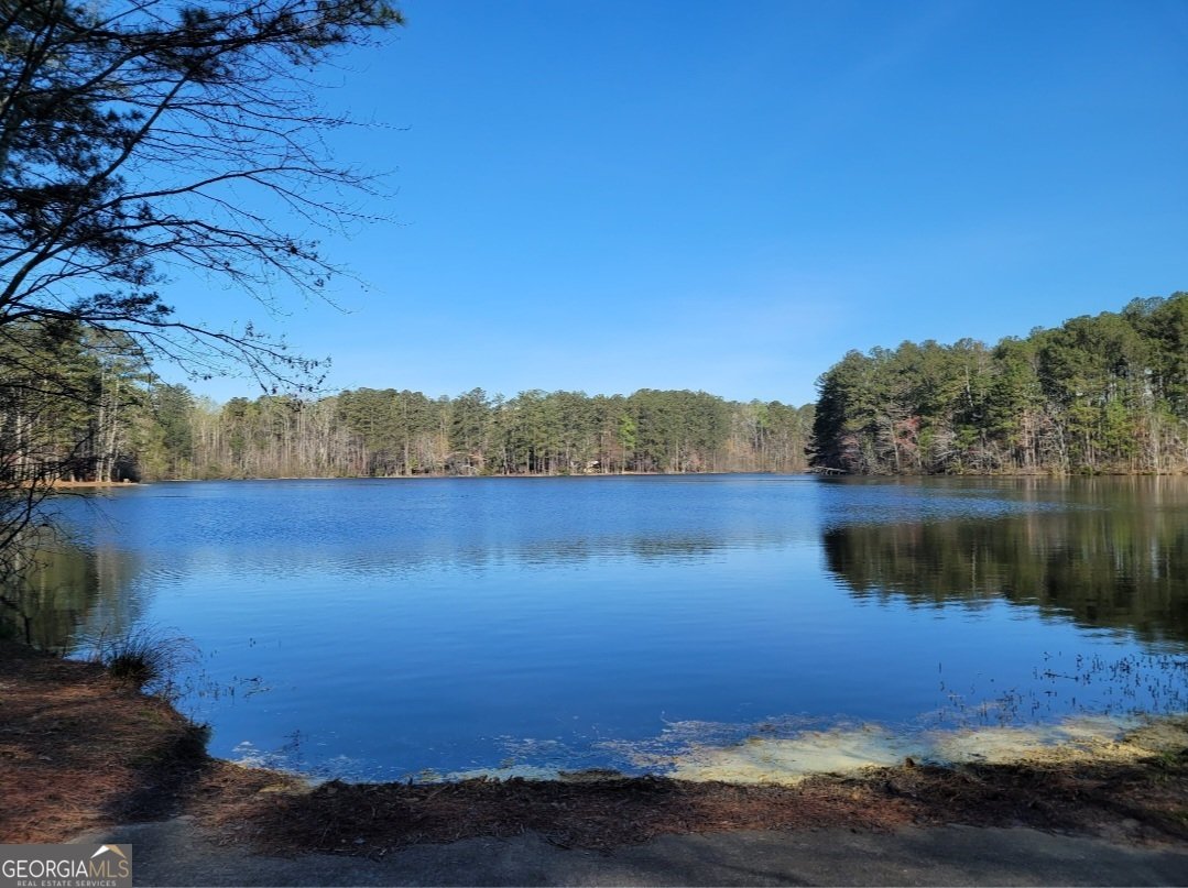 26 Parlor Circle Sharpsburg - Photo 28