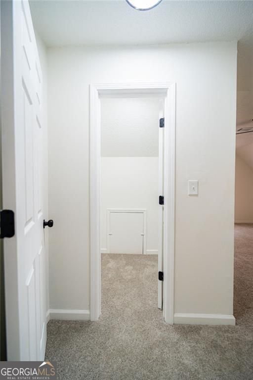 8953 Western Pines Drive Douglasville - Photo 29