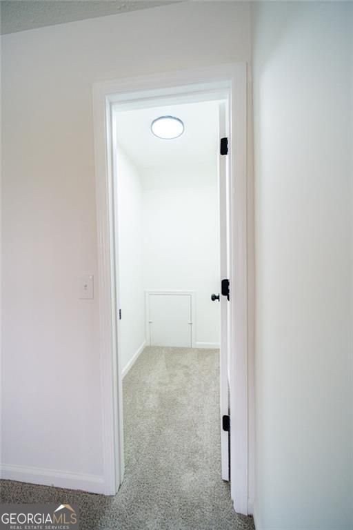 8953 Western Pines Drive Douglasville - Photo 44