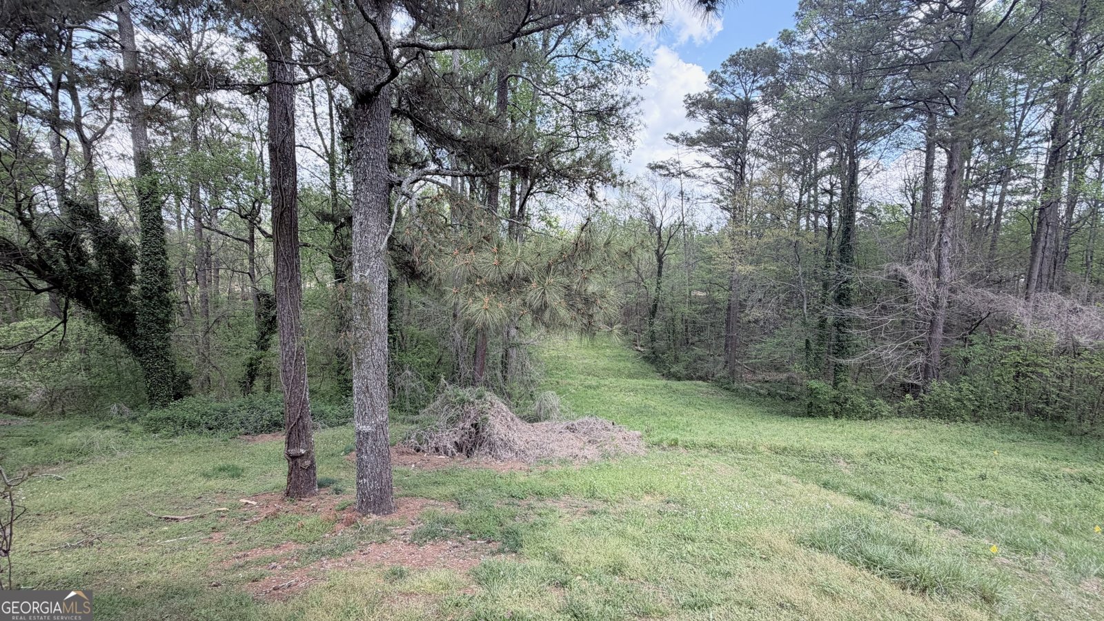 1099 Forest Valley Drive Atlanta - Photo 17