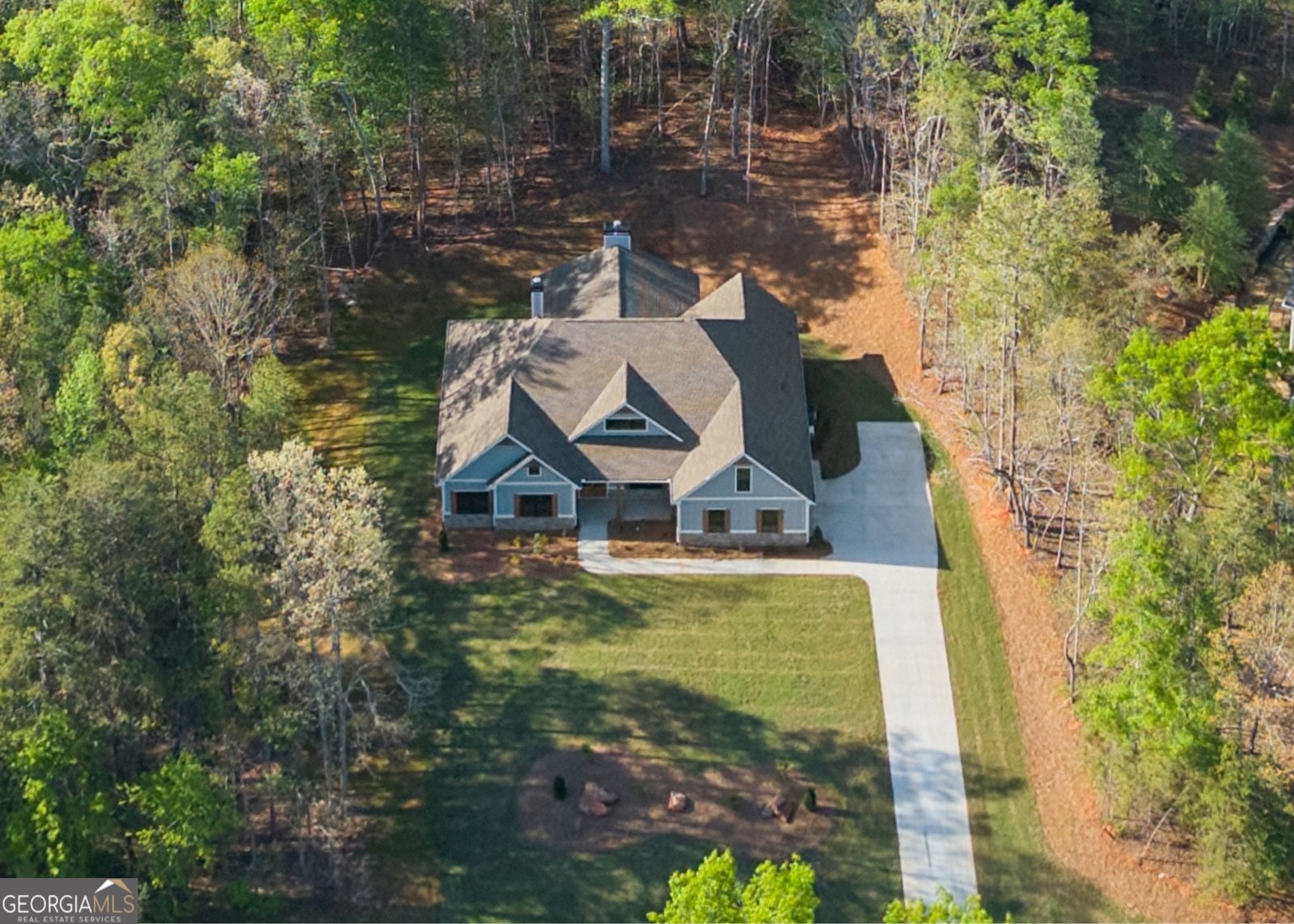 206 Shoals Way Clarkesville - Photo 1