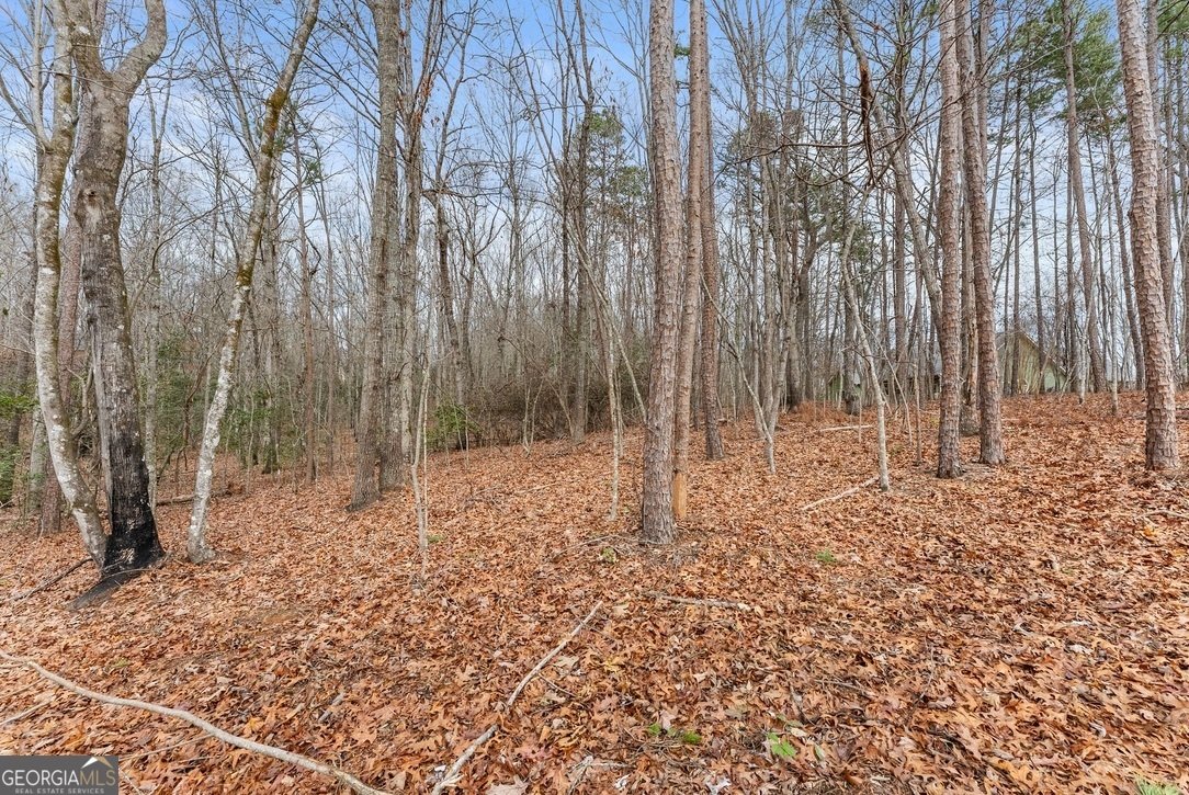 206 Shoals Way Clarkesville - Photo 25