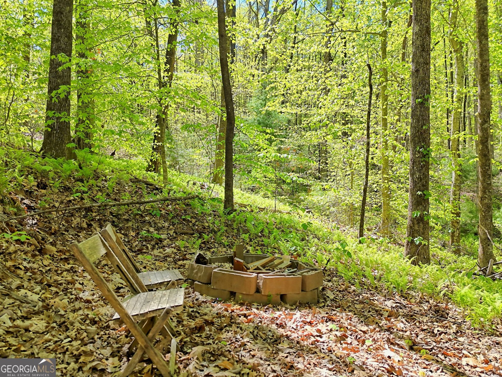 772 Glassy Mountain Tiger - Photo 32