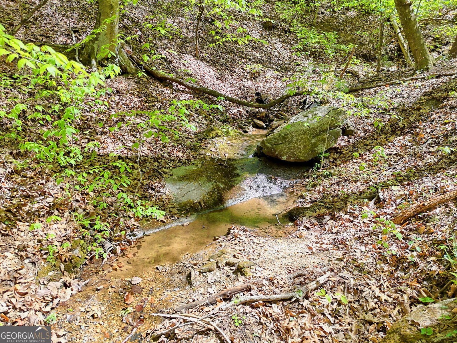 772 Glassy Mountain Tiger - Photo 38