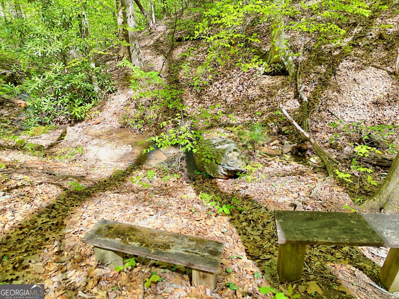 772 Glassy Mountain Tiger - Photo 39