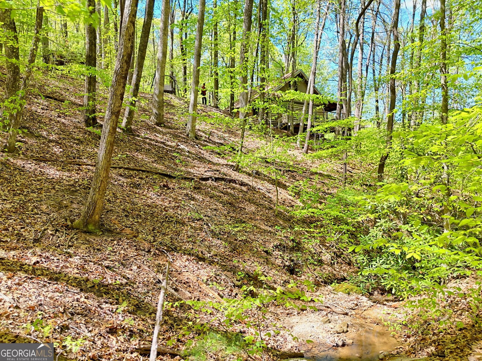 772 Glassy Mountain Tiger - Photo 40