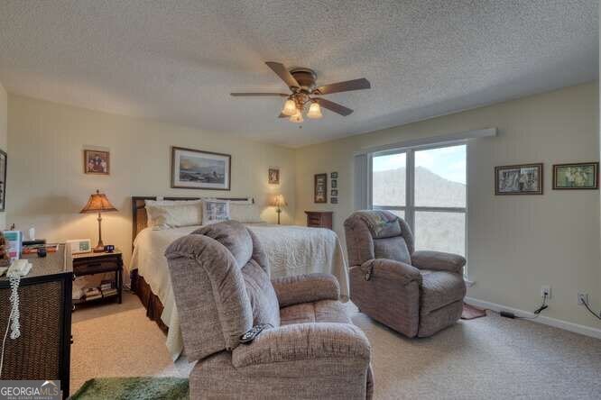 43 Little Beasley Blairsville - Photo 21