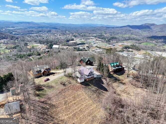 43 Little Beasley Blairsville - Photo 67