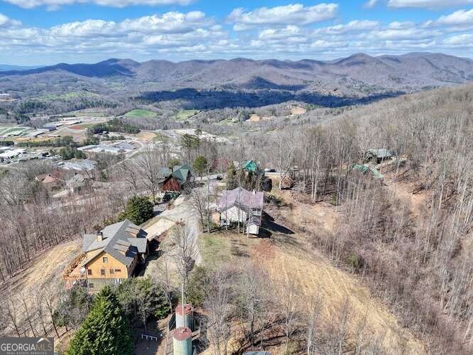 43 Little Beasley Blairsville - Photo 69