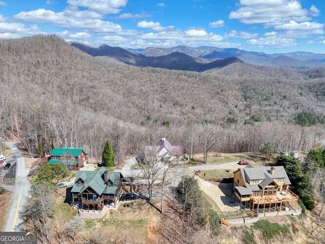 43 Little Beasley Blairsville - Photo 70