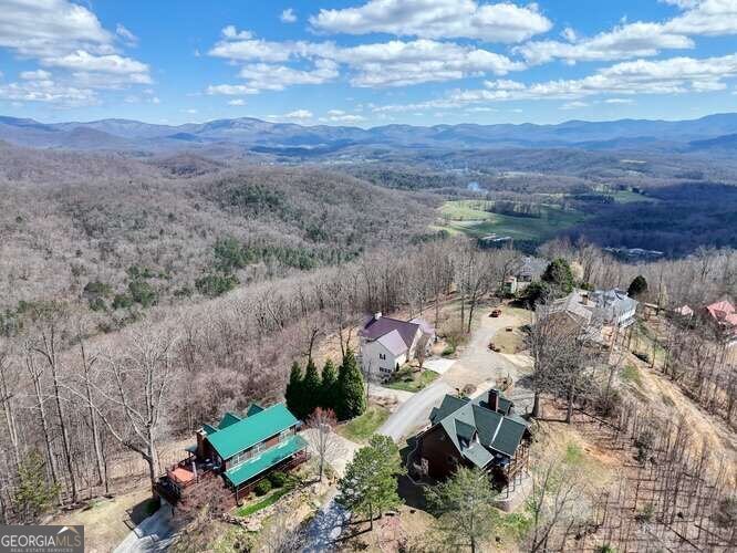 43 Little Beasley Blairsville - Photo 71