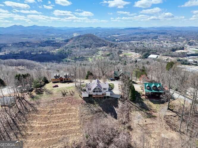 43 Little Beasley Blairsville - Photo 72