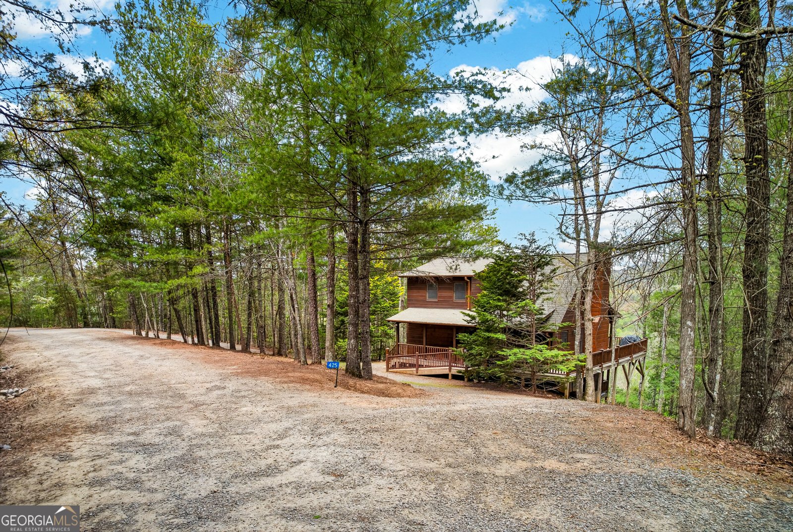 425 Rhonda Lane Mineral Bluff - Photo 15