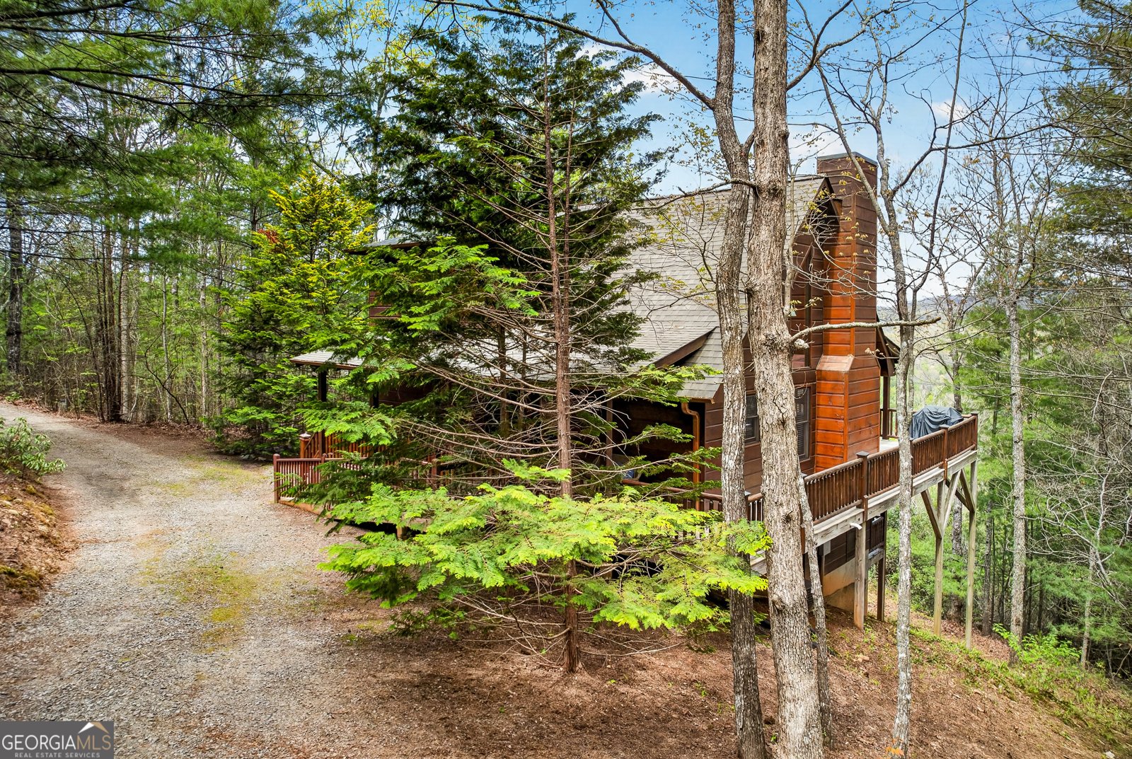 425 Rhonda Lane Mineral Bluff - Photo 16