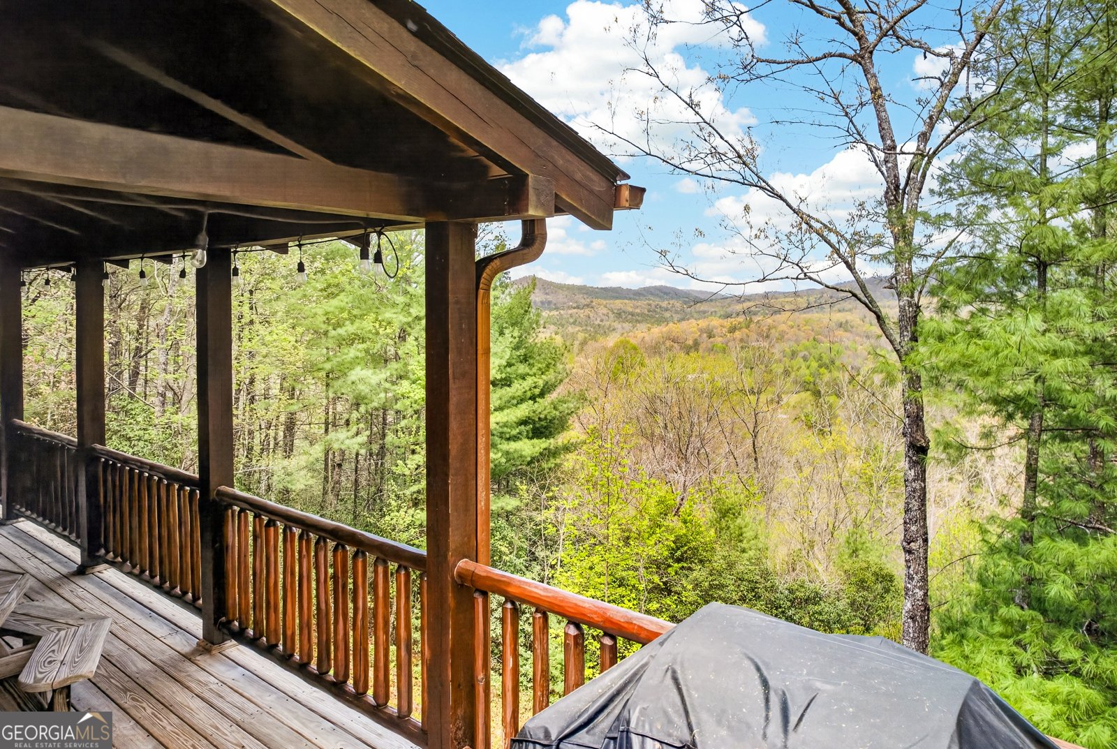 425 Rhonda Lane Mineral Bluff - Photo 23