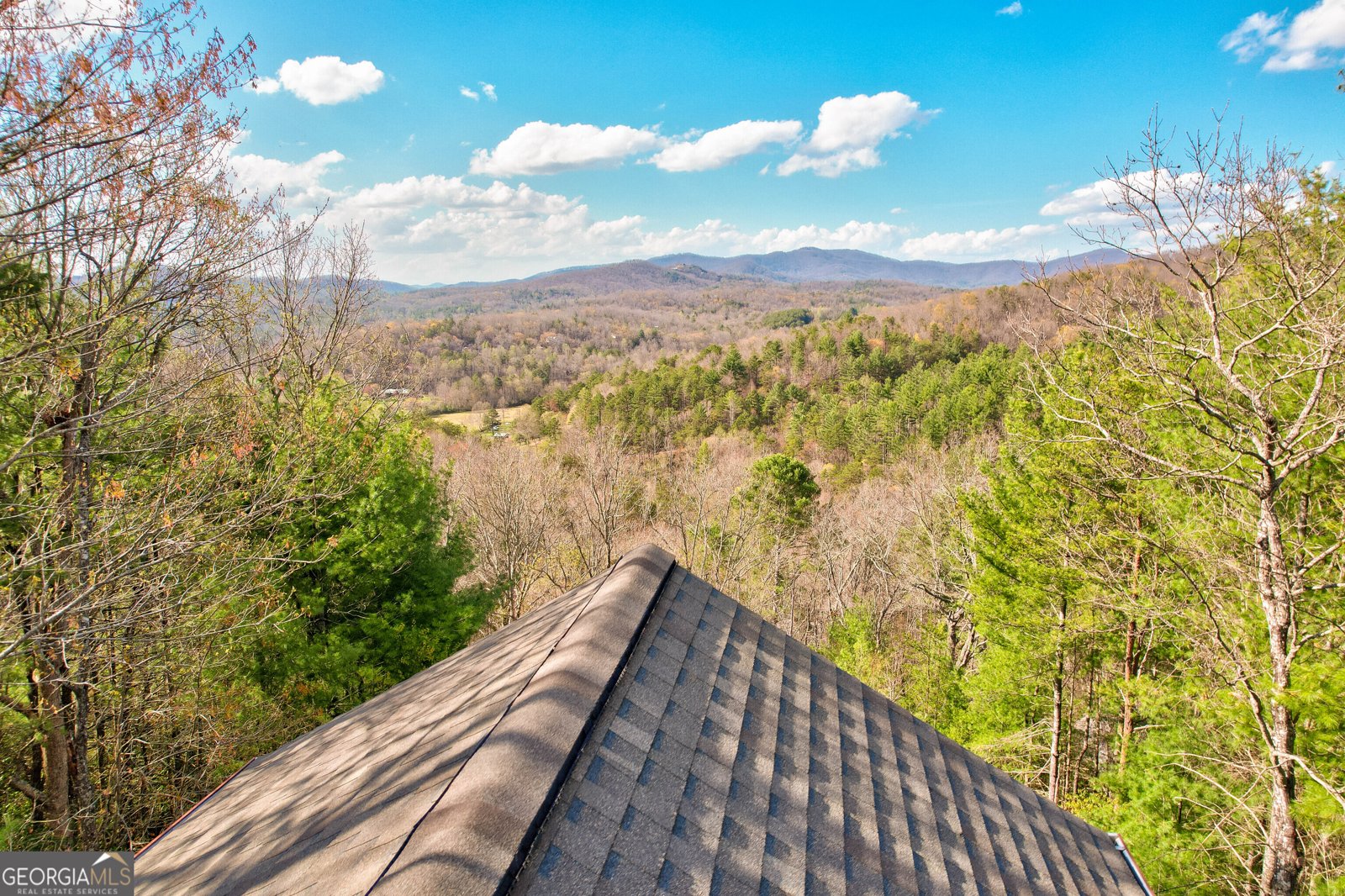 425 Rhonda Lane Mineral Bluff - Photo 24
