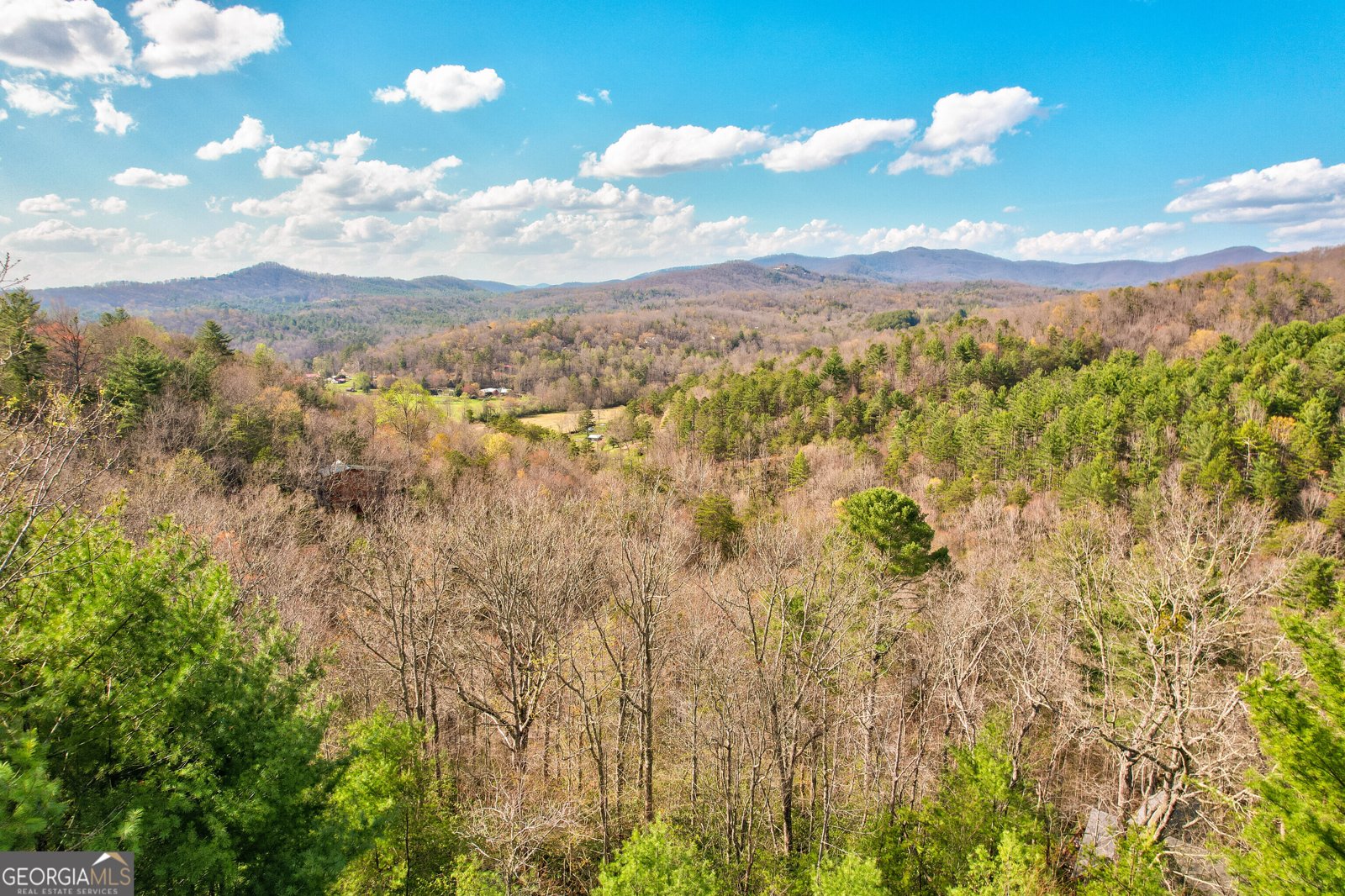 425 Rhonda Lane Mineral Bluff - Photo 25