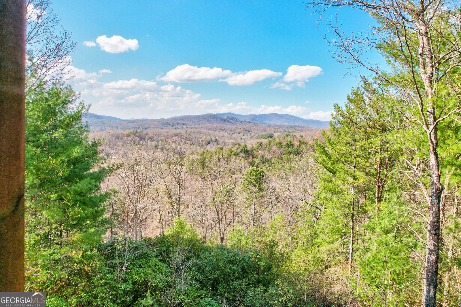 425 Rhonda Lane Mineral Bluff - Photo 26