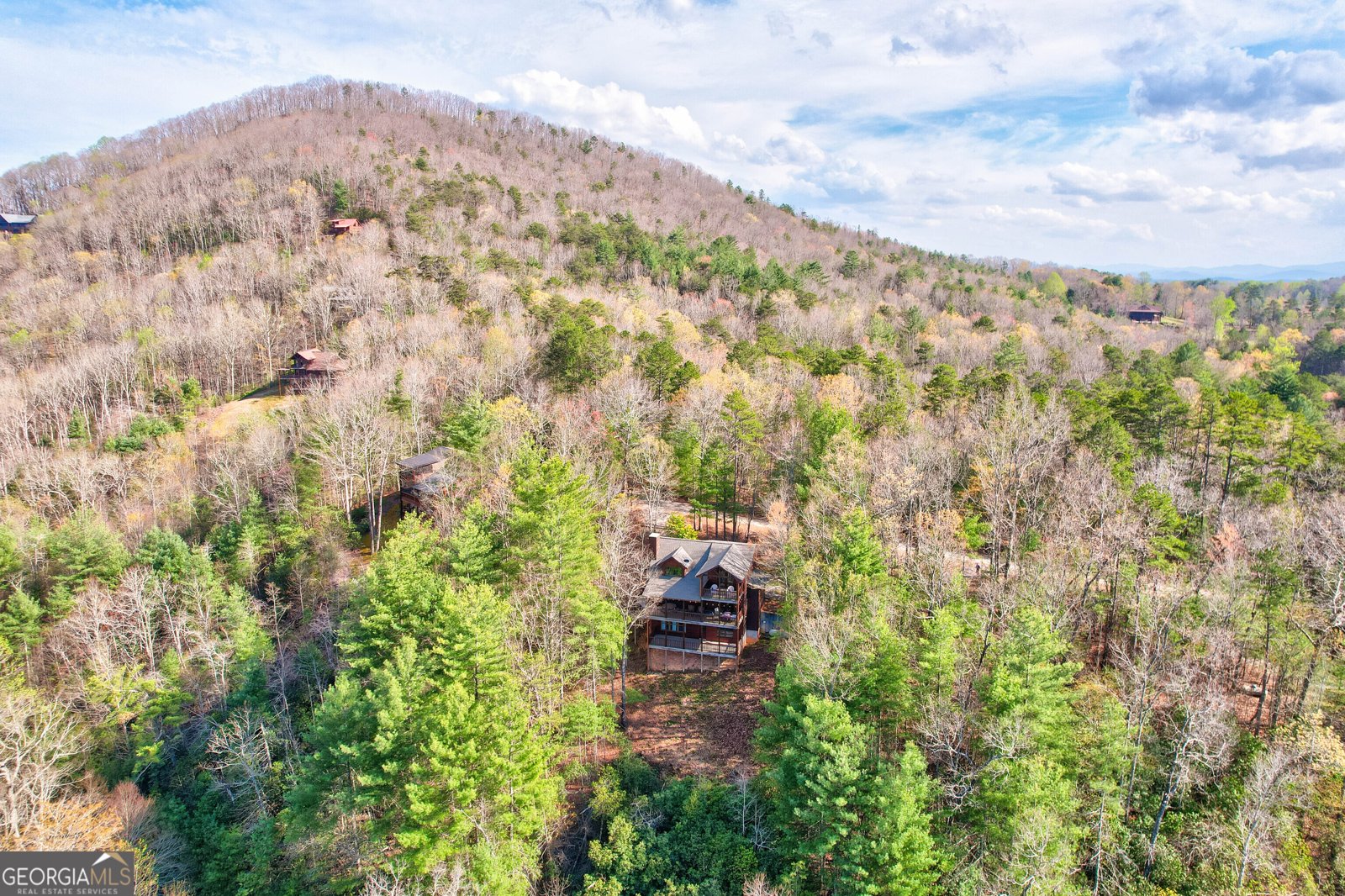 425 Rhonda Lane Mineral Bluff - Photo 27