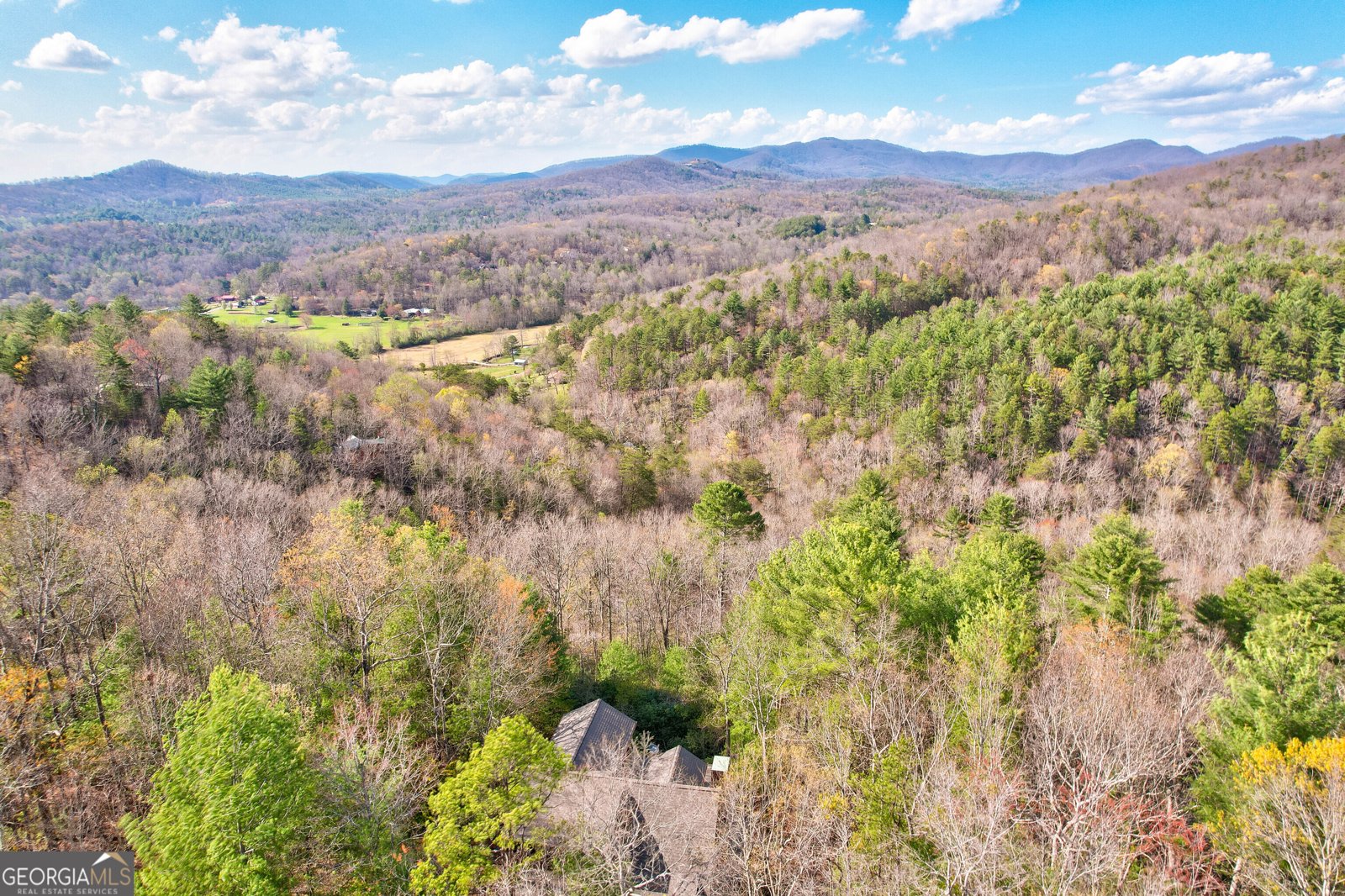 425 Rhonda Lane Mineral Bluff - Photo 29