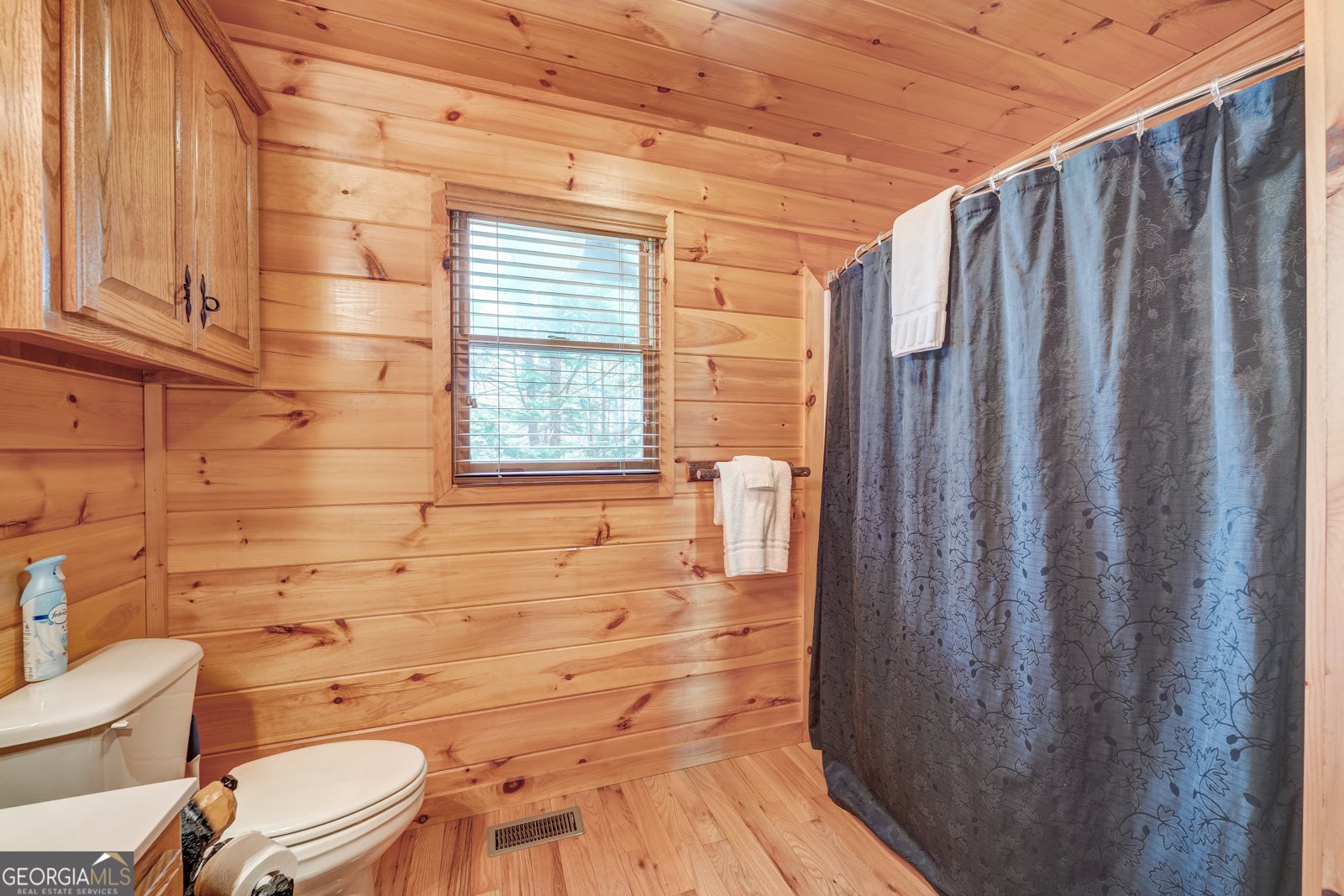 425 Rhonda Lane Mineral Bluff - Photo 34