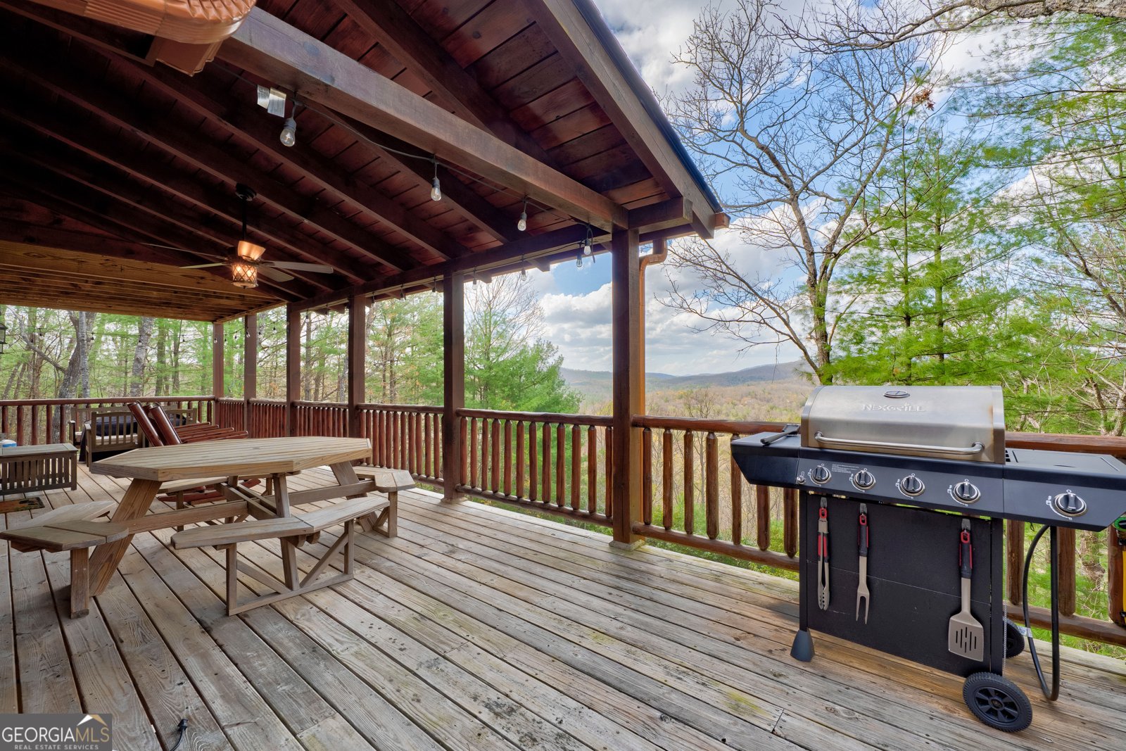 425 Rhonda Lane Mineral Bluff - Photo 52